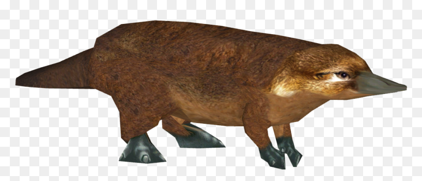 Platypus , Png Download - Punxsutawney Phil, Transparent Png - platypus png
