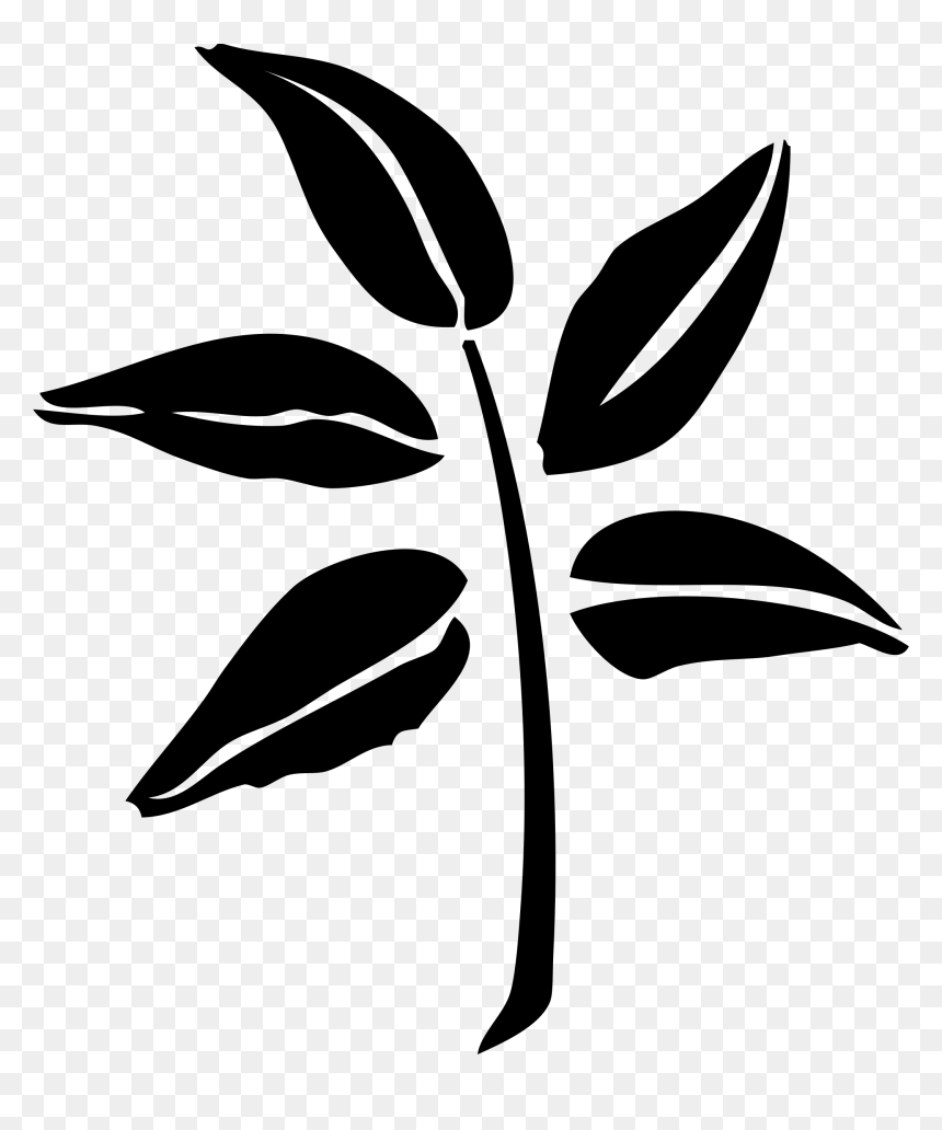 Leaf Tree Silhouette Graphic Arts Oak - Leaf Silhouette, HD Png Download - oak leaf png