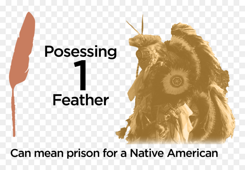 Posessiongraphicv2 - Graphic Design, HD Png Download - eagle feather png