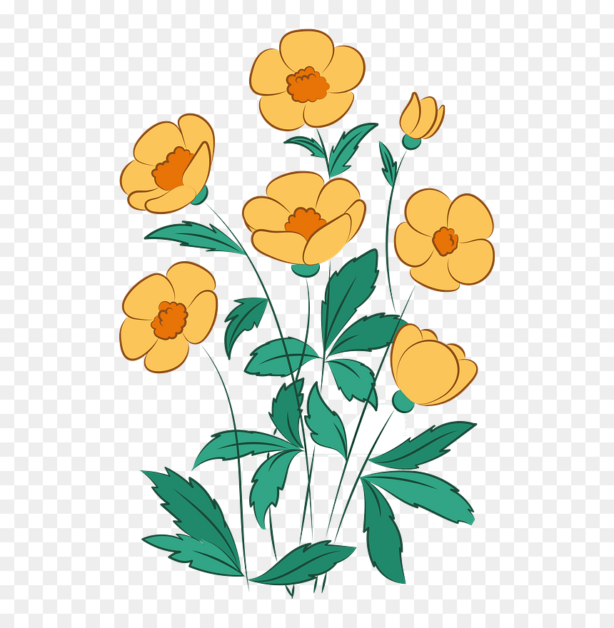Wildflower Clipart, HD Png Download - wildflower png