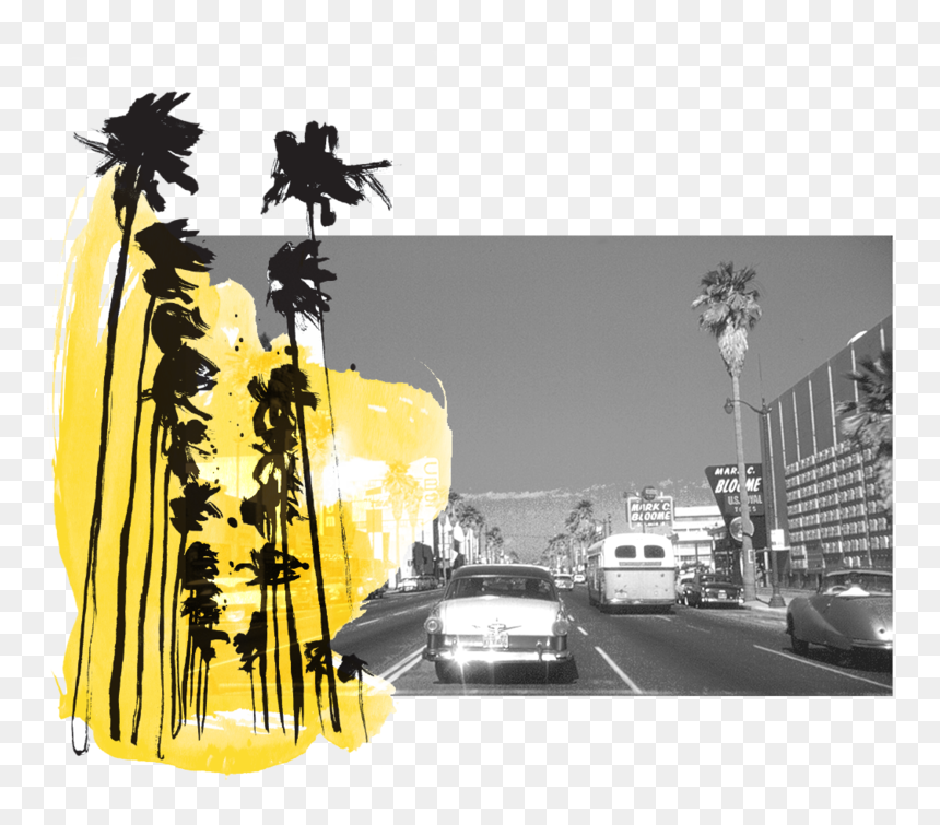 Los Angeles Jesse Katz Header - Street, HD Png Download - los angeles skyline png