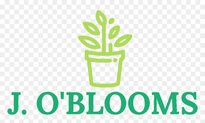 Thumbnail Joblooms Green Logo Transparent Background - Cactus, HD Png Download - green border png