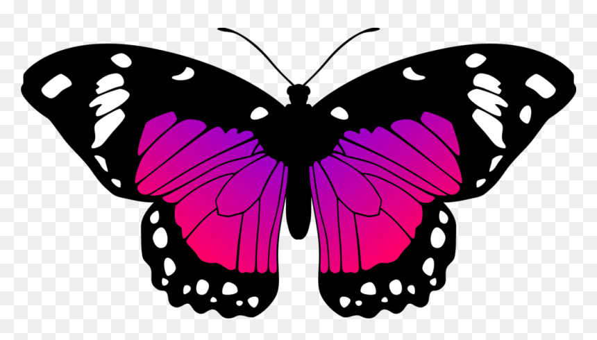 Transparent Purple Butterfly Png - Butterfly Black And Pink, Png Download - purple butterfly png