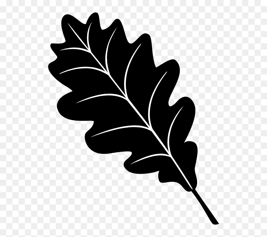Maple Leaves Fall Printable, HD Png Download - oak leaf png