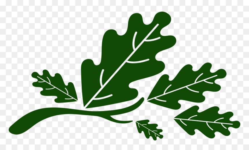 Five Oaks Leaves, HD Png Download - oak leaf png