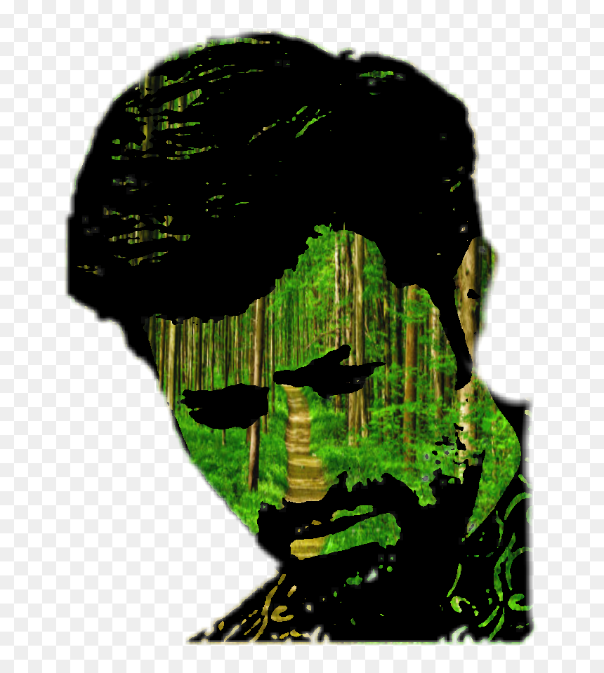 Transparent Jungle Tree Png - Illustration, Png Download - jungle tree png