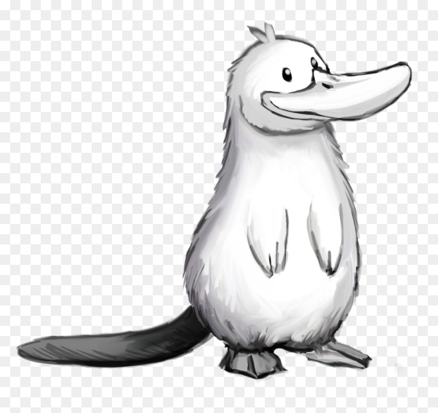 White Platypus, HD Png Download - platypus png