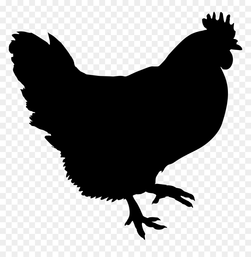 Black Chicken Clip Art - Silhouette Chicken Clipart Png, Transparent Png - rubber chicken png