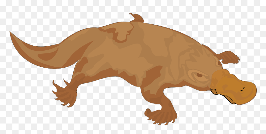 Two Animals Lay Eggs, HD Png Download - platypus png