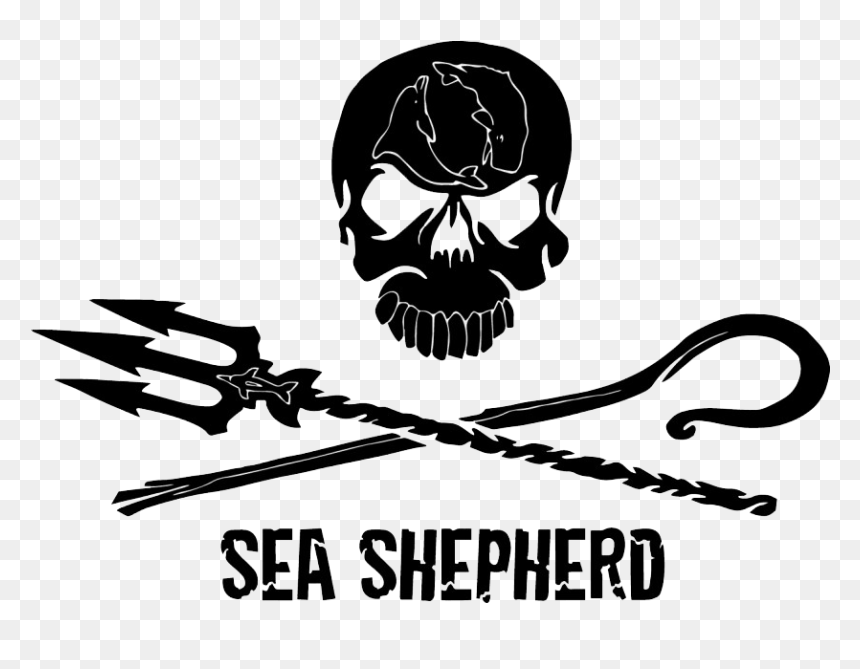 Jolly Roger Transparent Images Png - Sea Shepherd Logo Png, Png Download - jolly roger png