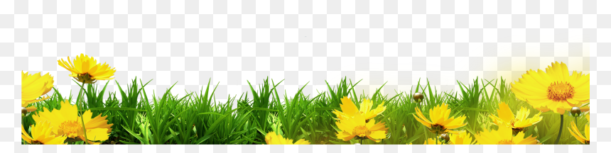 Floral Clipart Template, HD Png Download - grass border png