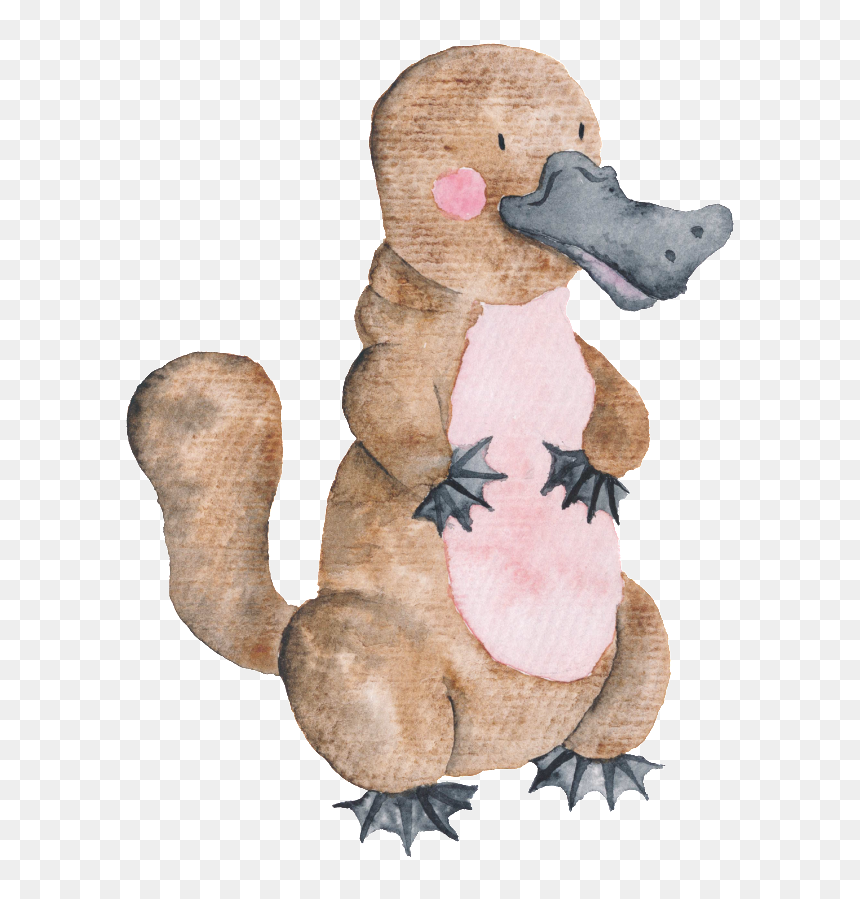 This Graphics Is Hand Drawn Platypus Transparent Animal - Cartoon Australian Animals Clipart, HD Png Download - platypus png