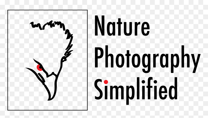 Transparent Canon Dslr Png - Illustration, Png Download - dslr png