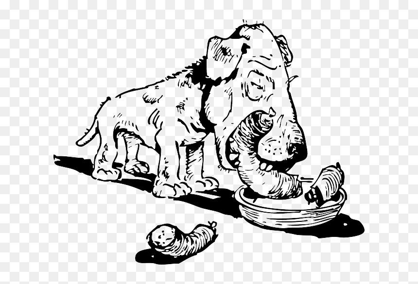 Cartoon Dog Eats Cat, HD Png Download - dog bowl png