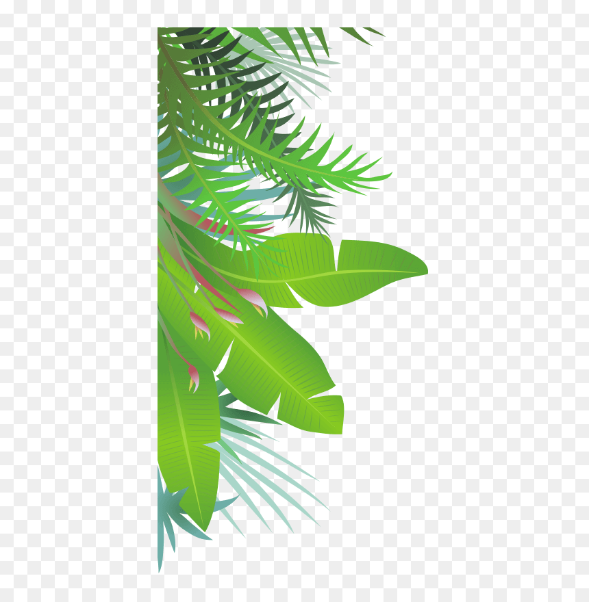 Transparent Jungle Leaves Png, Png Download - jungle tree png
