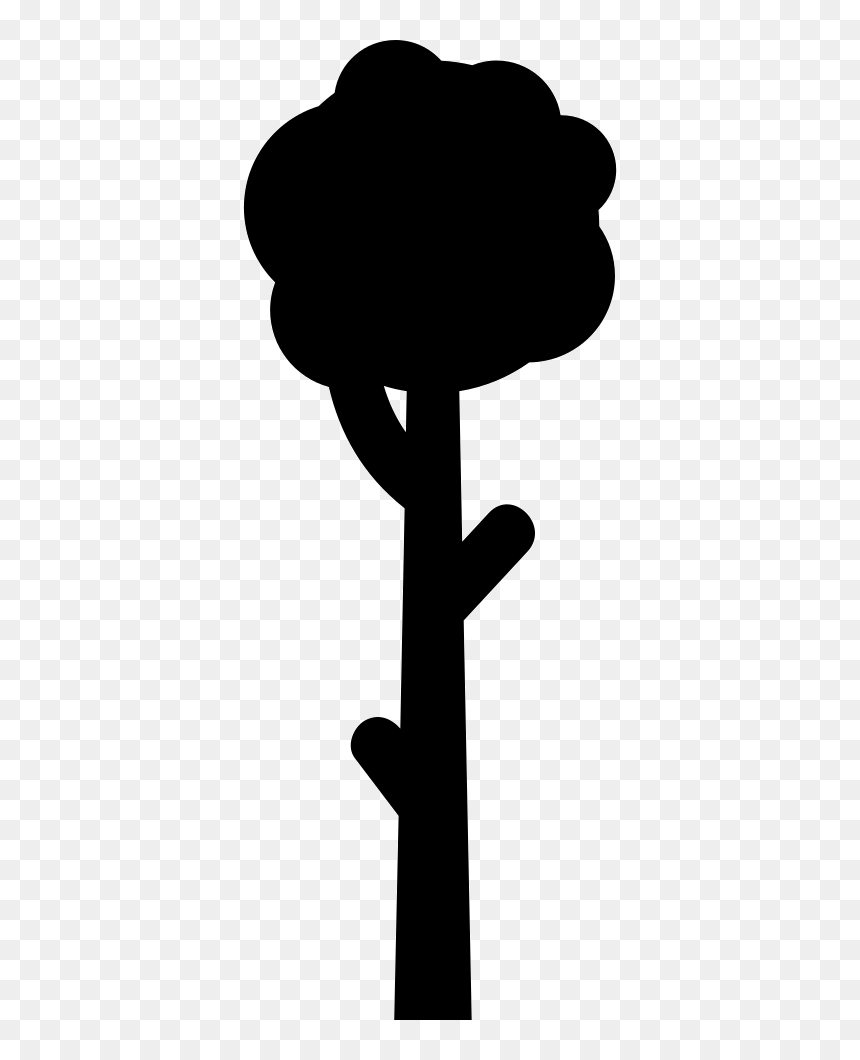 Tall Tree - Portable Network Graphics, HD Png Download - tall tree png
