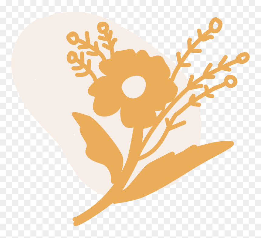 Wildflower - Illustration, HD Png Download - wildflower png