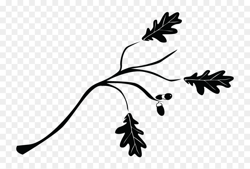 Transparent Ramas De Arbol Png - Ramas En Dibujo En Png, Png Download - arbol png