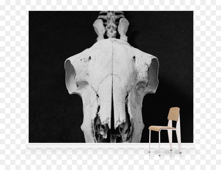 Chair, HD Png Download - sombra skull png