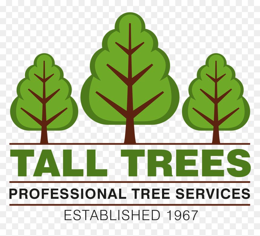 Portable Network Graphics, HD Png Download - tall tree png