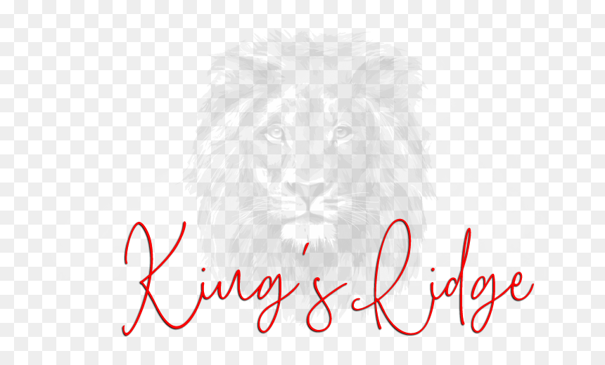 6 Grunge Crown 6 - Masai Lion, HD Png Download - grunge cross png