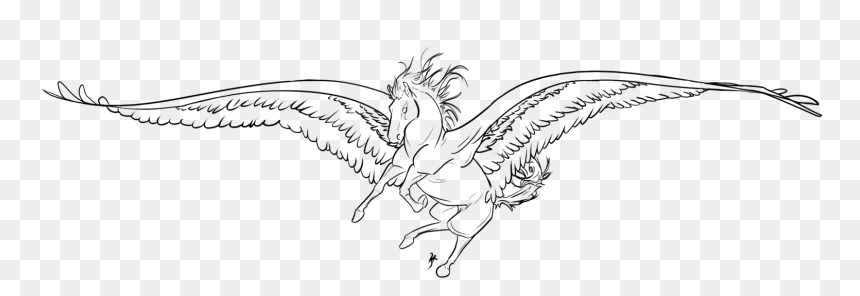 Png Library Download Albatross Drawing Feather - Sketch, Transparent Png - feather drawing png