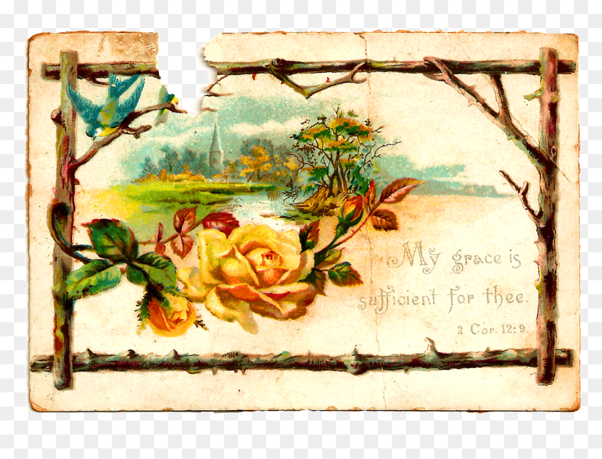Flower Rose Illustration - Rose, HD Png Download - yellow roses png