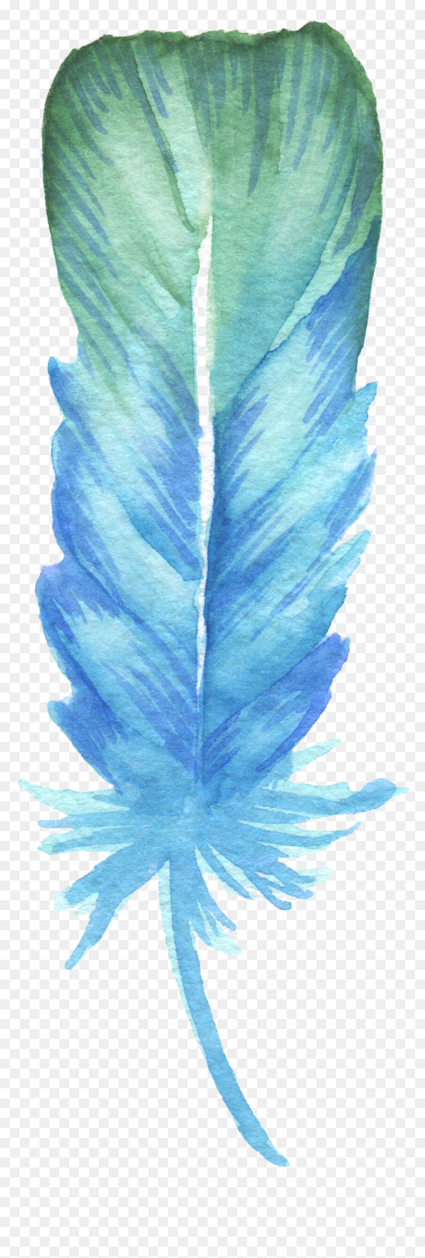 Drawing Feather Coloured - Blue Feather Drawing, HD Png Download - feather drawing png