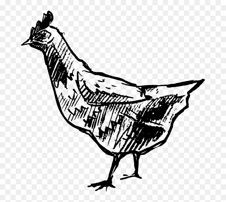 Transparent Chicken Clipart Black And White - Illustration, HD Png Download - rubber chicken png