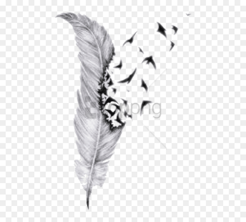 Free Png Feather Drawings With Birds Png Image With - Feather And Birds Tattoo, Transparent Png - feather drawing png