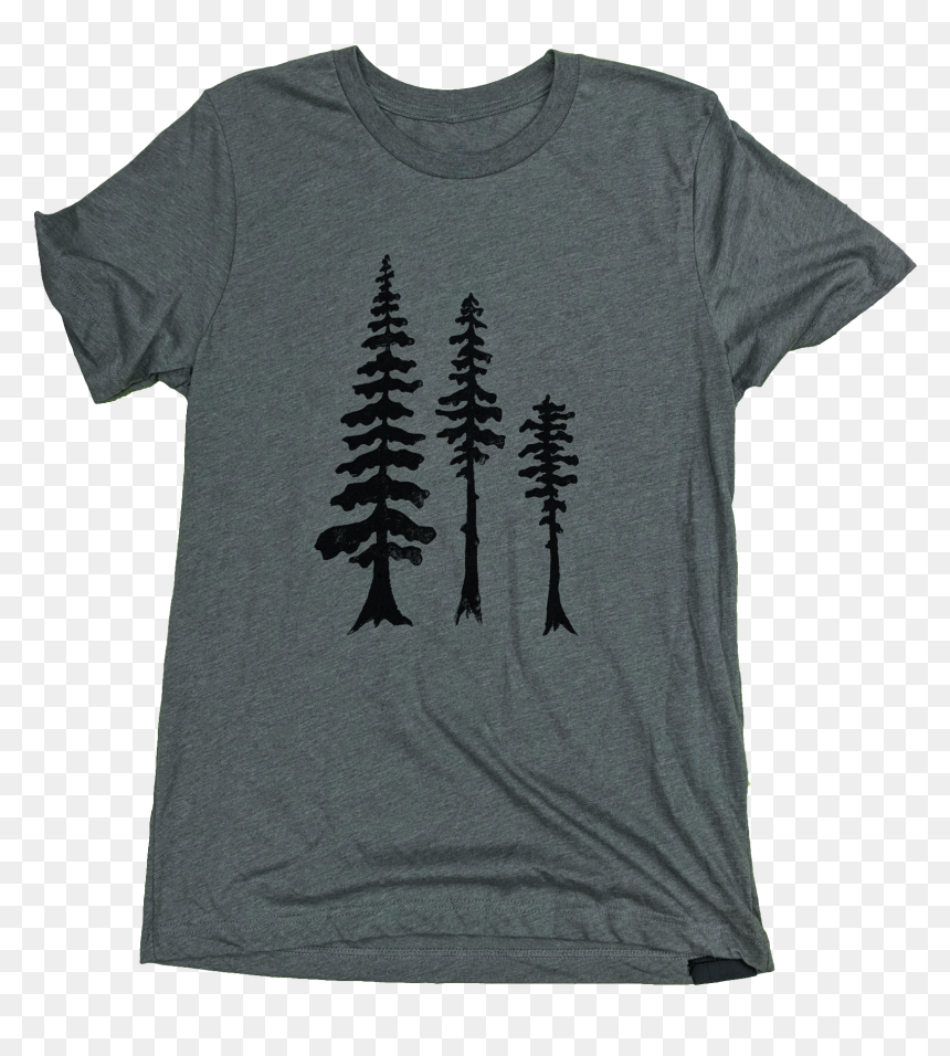 Shortleaf Black Spruce, HD Png Download - tall tree png