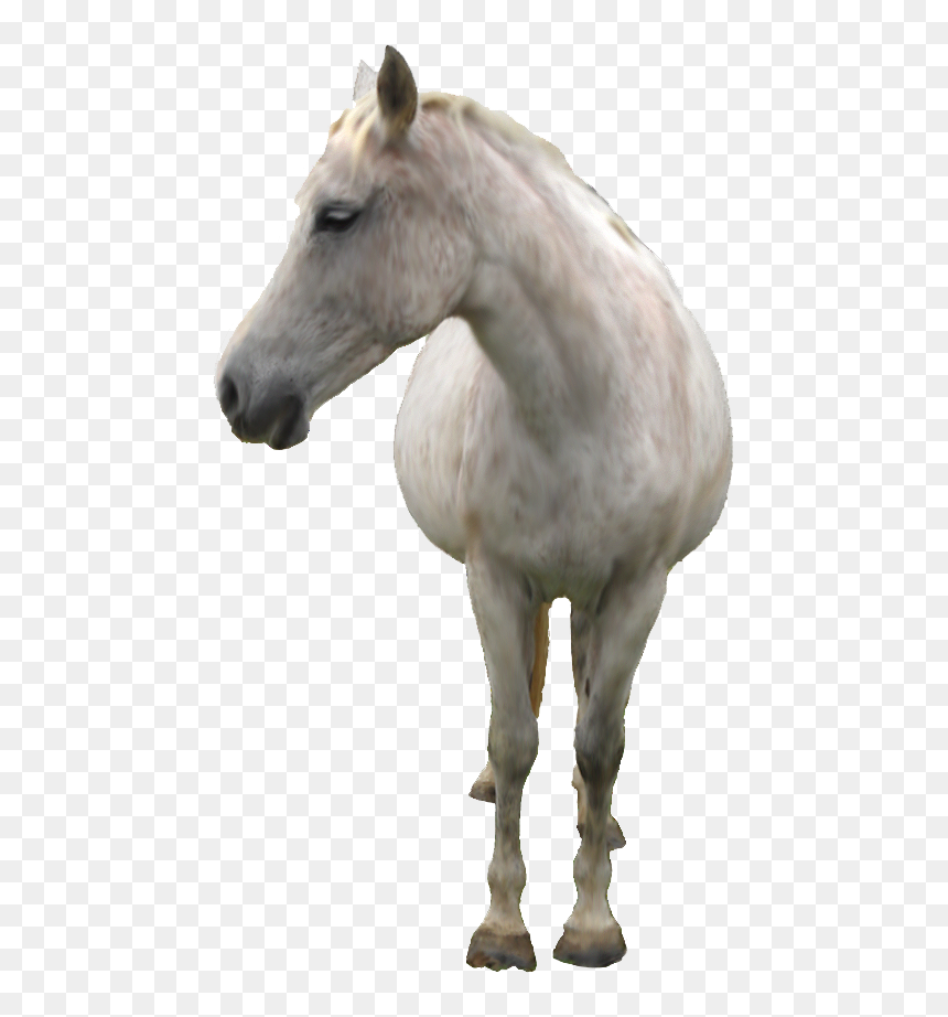 Smudge Painted Horse Png, Transparent Png - smudge png