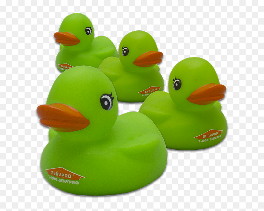 Green Rubber Duck , Png Download - Transparent Green Rubber Ducks, Png Download - rubber chicken png