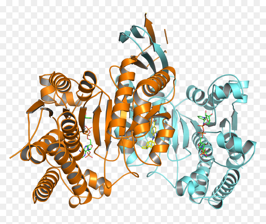 Caveman Clipart Jacked - Chemistry, HD Png Download - caveman png
