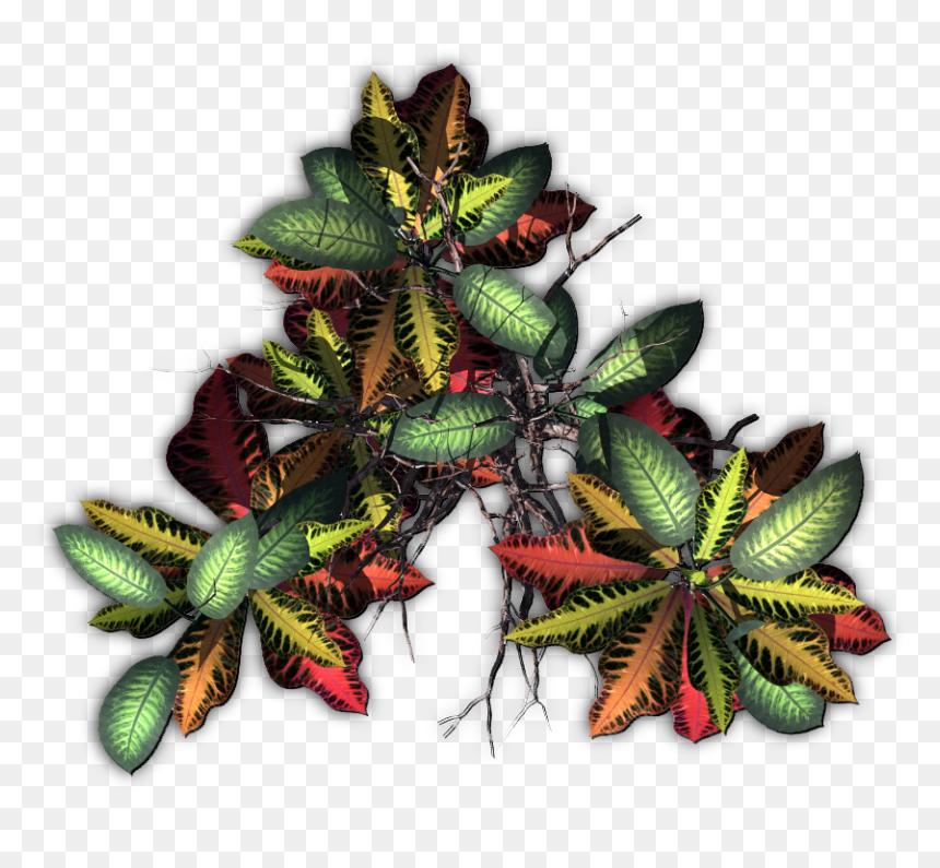 Jungle, HD Png Download - jungle tree png