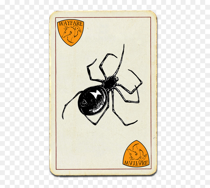 Wayfare Pest Solutions Most Wanted - Black Widow, HD Png Download - black widow spider png