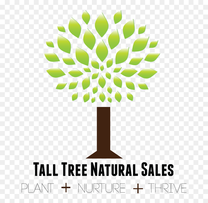 1 Oak Remodeling, HD Png Download - tall tree png