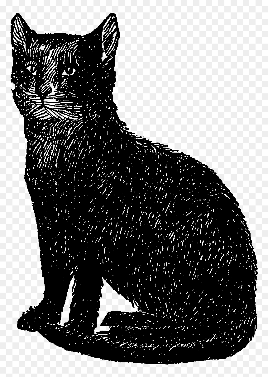 Digital Stamp Design - Vintage Black Cat Clipart, HD Png Download - black cat clipart png