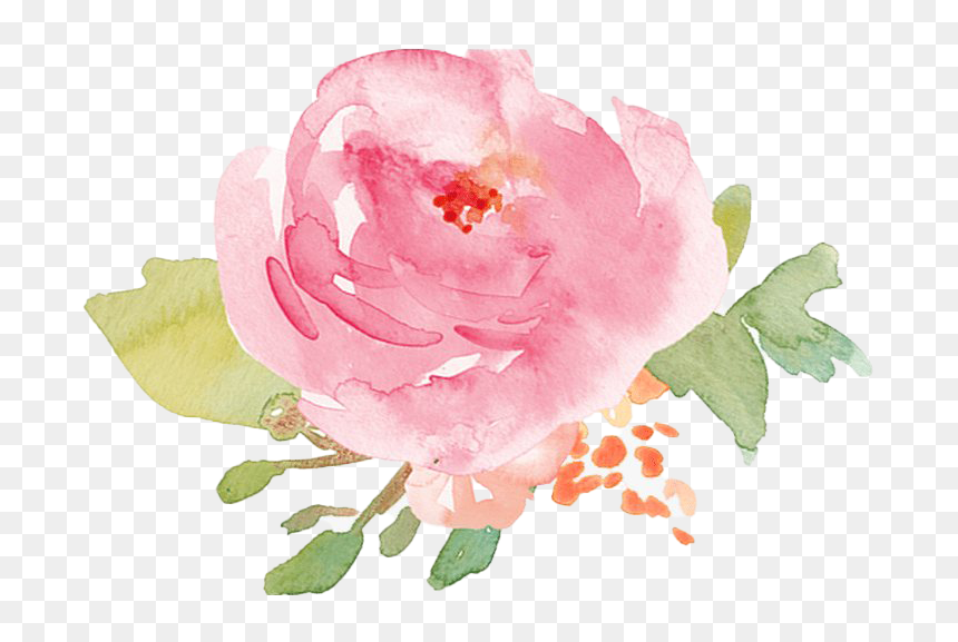 Watercolor Flower Png Pic - Pink Watercolor Flower Png, Transparent Png - watercolor rose png
