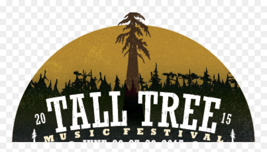 Christmas Tree, HD Png Download - tall tree png