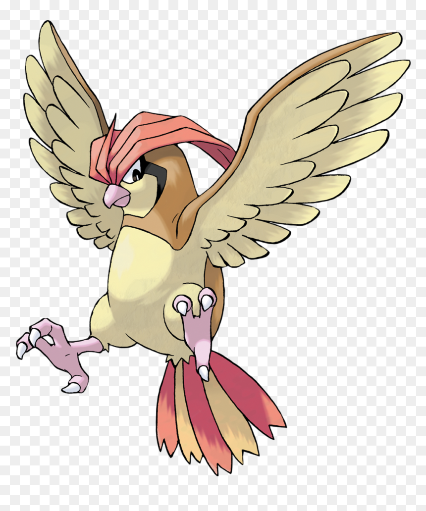 Pidgeotto Pokemon, HD Png Download - pidgeot png