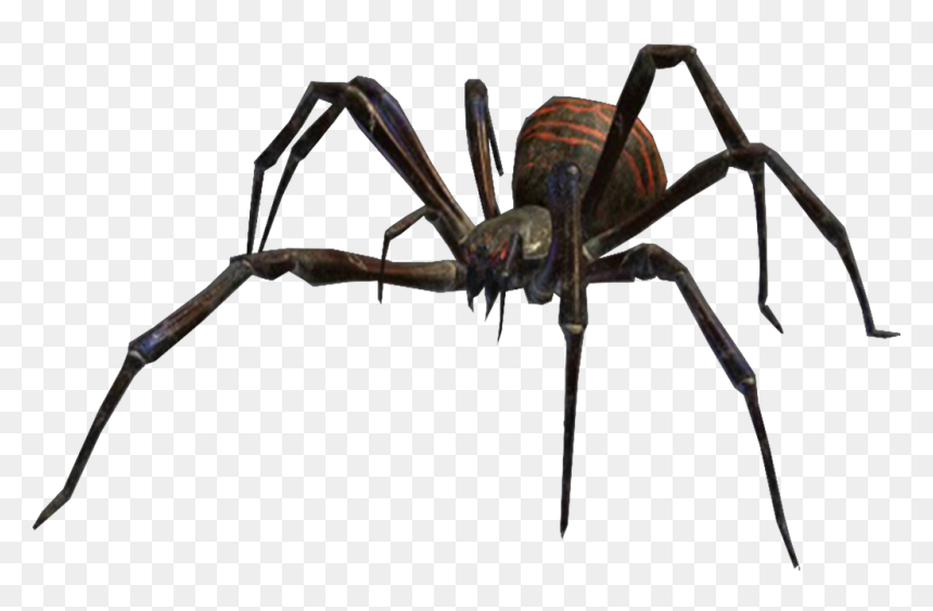 Villains Wiki - Spiders Eight Legged Freaks, HD Png Download - black widow spider png