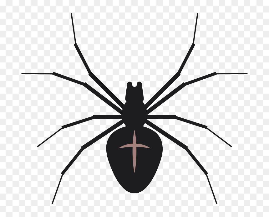 5 - Black Widow, HD Png Download - black widow spider png