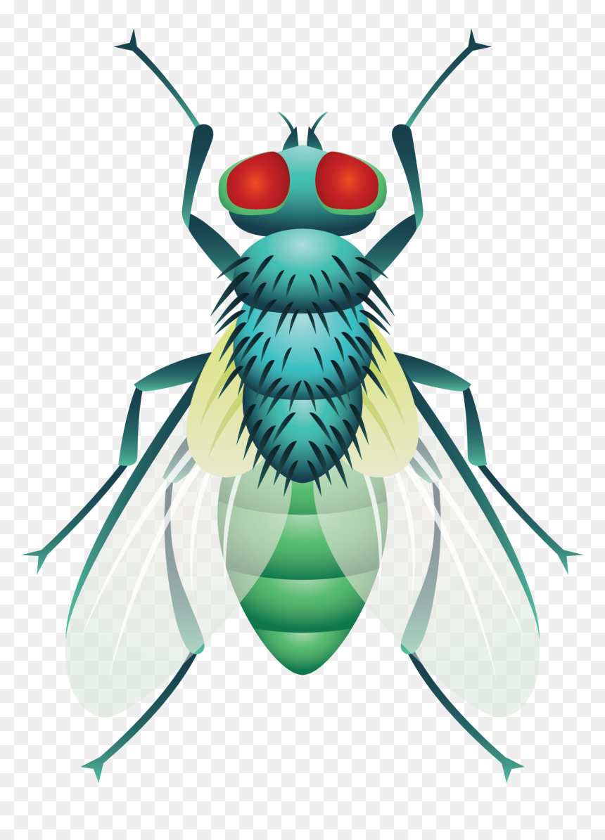 Beetle Cockroach Fly - Group Insect Clipart, HD Png Download - flies png