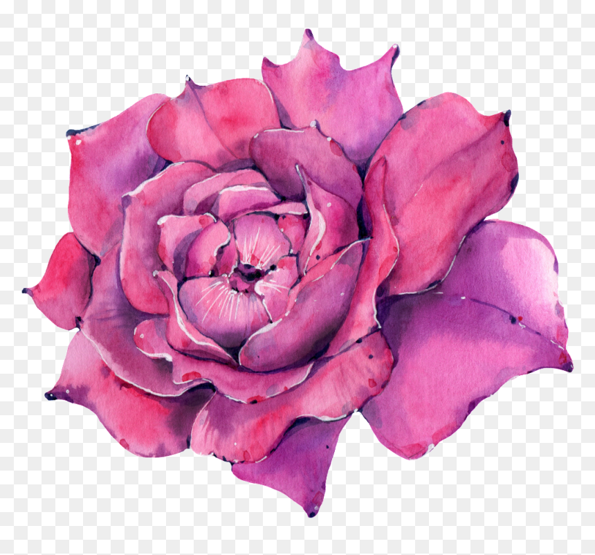 This Graphics Is A Rose Png Transparent About Watercolor,purple - Hybrid Tea Rose, Png Download - watercolor rose png