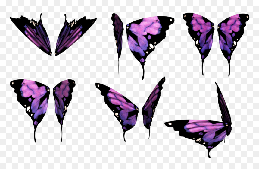 Thumb Image - Free Butterfly Wings Png, Transparent Png - butterfly wings png