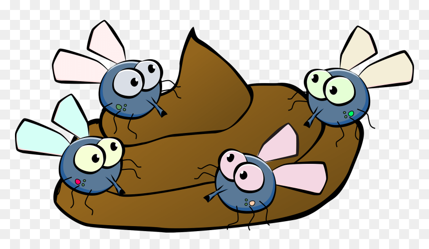 Cartoon, HD Png Download - flies png