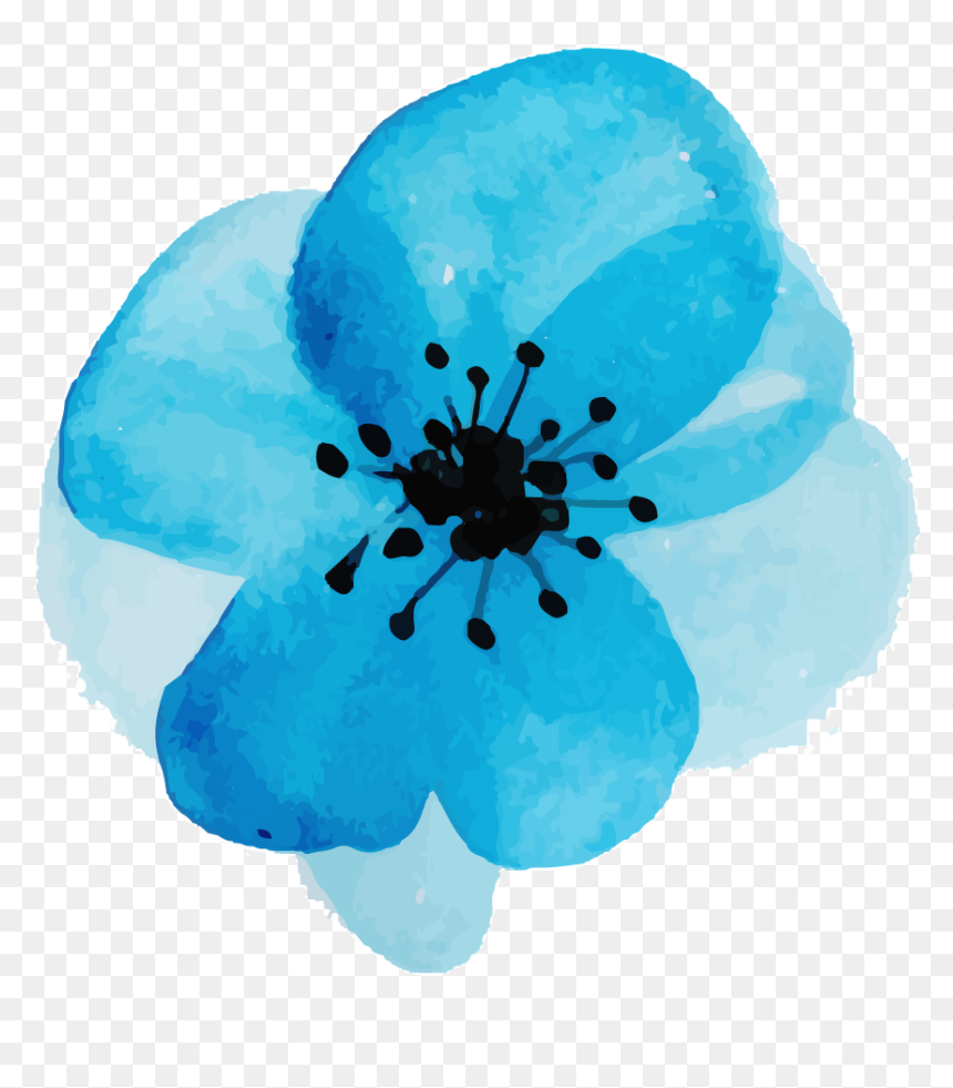 Corn Poppy, HD Png Download - watercolor rose png