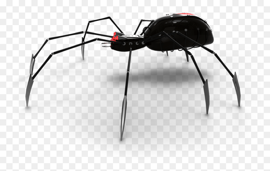 Logo-side - Black Widow, HD Png Download - black widow spider png