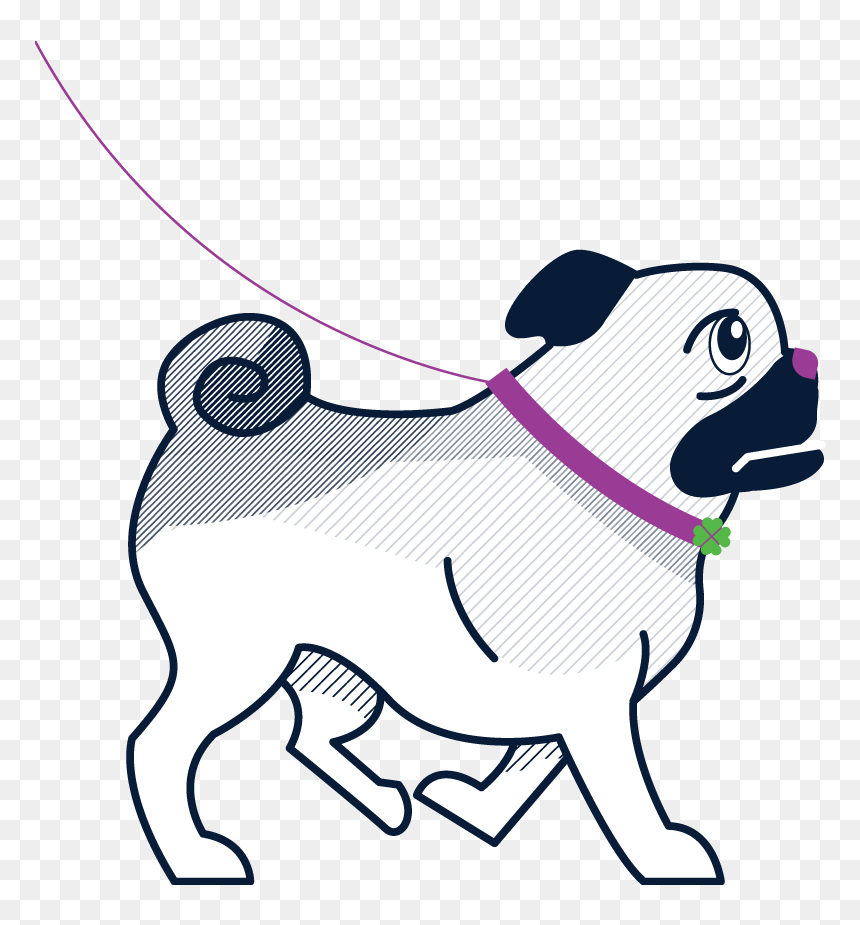 Dog Sitter, Dog Sitting, Dog Walking - Dog Walking, HD Png Download - dog sitting png